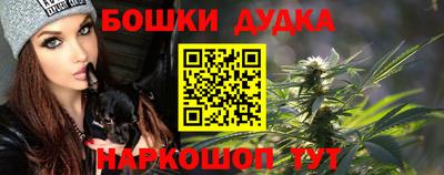 сатива Кандалакша